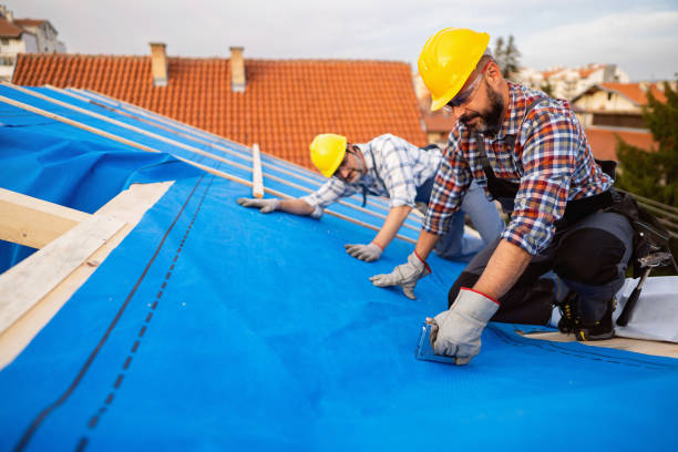 Best Cold Roofs  in White Cloud, MI