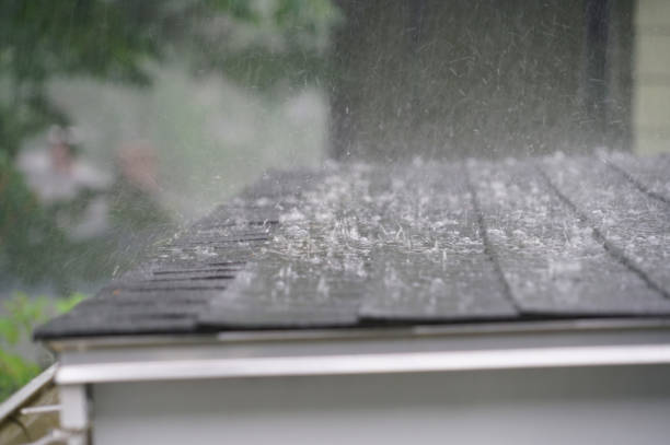 Best Roof Moss and Algae Removal  in White Cloud, MI