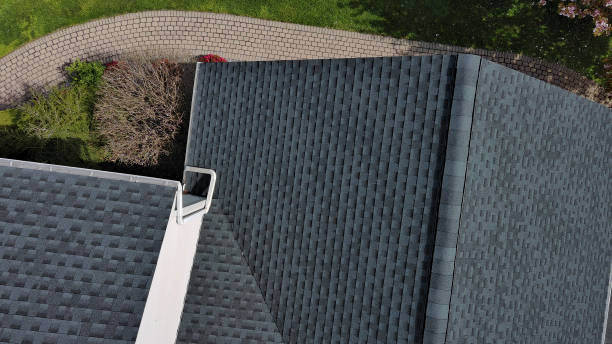 Best Asphalt Shingle Roofing  in White Cloud, MI